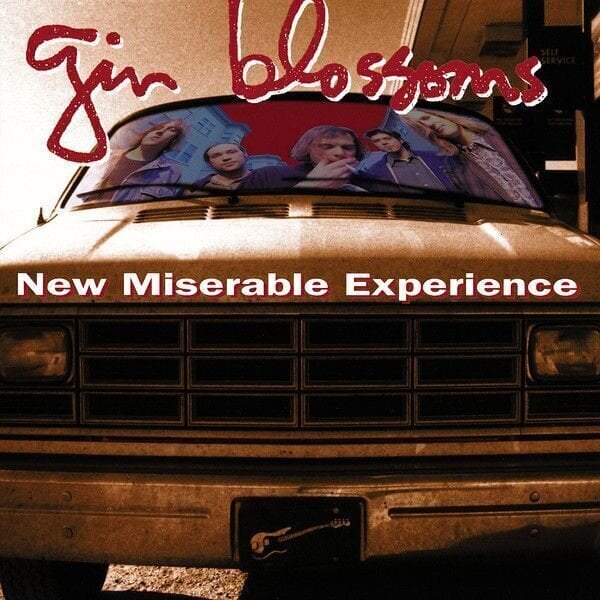 Disco in vinile Gin Blossoms - New Miserable Experience (LP)