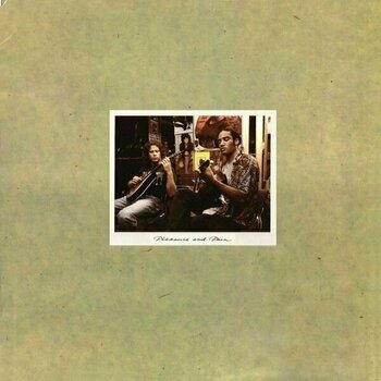 Vinyl Record Ben Harper - Pleasure And Pain (LP) (180g) - 1