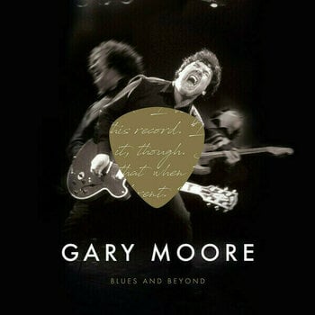Vinyylilevy Gary Moore - Blues And Beyond (4 LP) (180gs) - 1