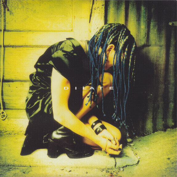 Disque vinyle Ani Difranco - Dilate (2 LP)