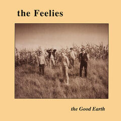 Disco de vinil The Feelies - The Good Earth (LP)
