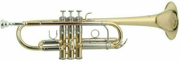 C Trompete Roy Benson TR-402C C Trompete - 1