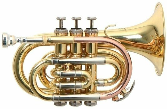 Bb-trompet Roy Benson PT-302 Bb-trompet - 1