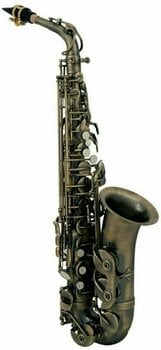 Alto saxophone Roy Benson AS-202A Alto saxophone - 1