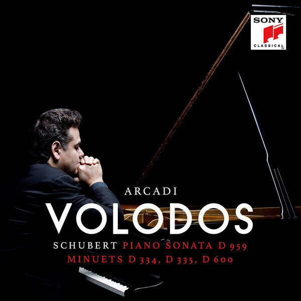 LP Arcadi Volodos - Schubert: Piano Sonata D959/Minutes D334, D335, D600 (Deluxe Edition) (2 LP)