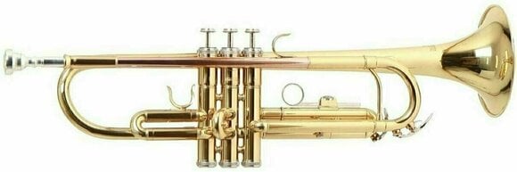 Bb Trumpet Roy Benson TR-101 Bb Trumpet - 1