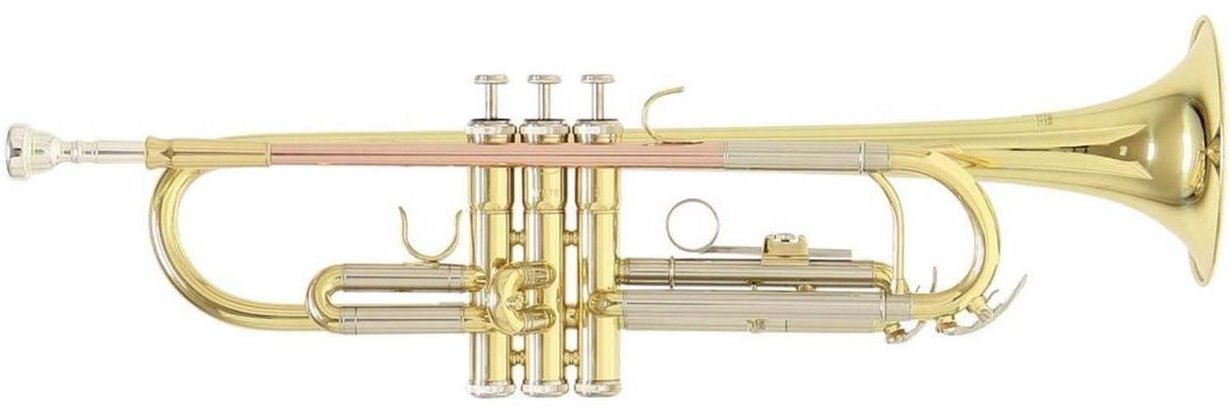 Roy Benson TR-202 Trompetă Si b