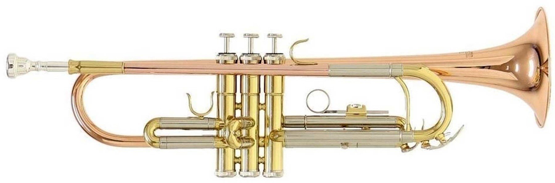 Bb Trompette Roy Benson TR-202G Bb Trompette