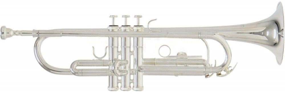 Bb Trumpet Roy Benson TR-202S Bb Trumpet
