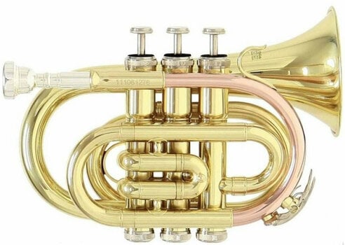 Bb-trompet Roy Benson PT-101 Bb-trompet - 1