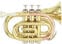 Bb-trompet Roy Benson PT-101 Bb-trompet