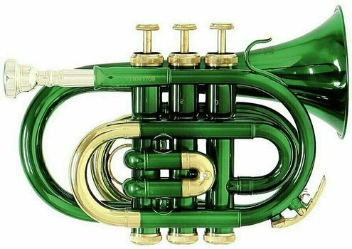 Bb Trumpet Roy Benson PT-101E Bb Trumpet - 1