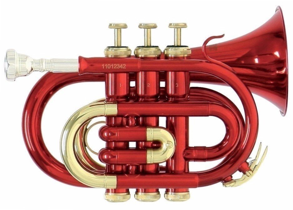 Bb-trompet Roy Benson PT-101R Bb-trompet