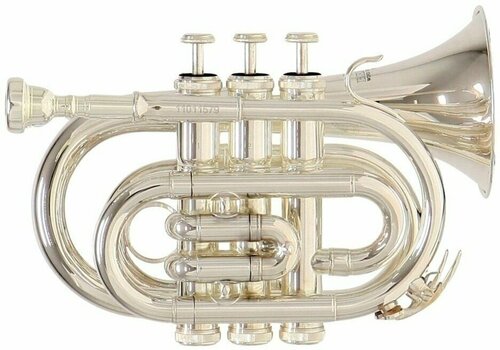 Bb-trumpetti Roy Benson PT-101S Bb-trumpetti - 1