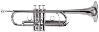 C Trumpet Roy Benson TR-402C C Trumpet