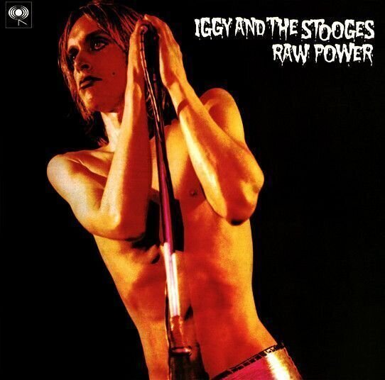 LP Iggy Pop & The Stooges - Raw Power (2 LP)