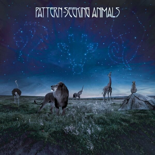 Vinyylilevy Pattern-Seeking Animals - Pattern-Seeking Animals (2 LP + CD)