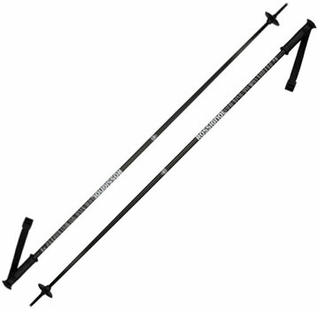 Ski Poles Rossignol Electra Black 110 cm Ski Poles - 1