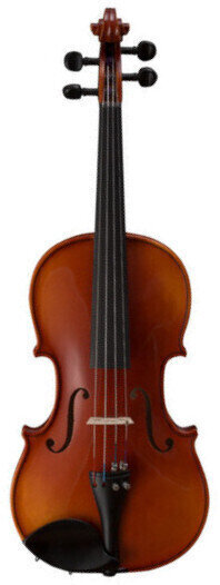Violin Strunal Schönbach 1930 4/4 Academy Violin