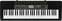 Klavijatura bez dinamike Casio CTK-2500