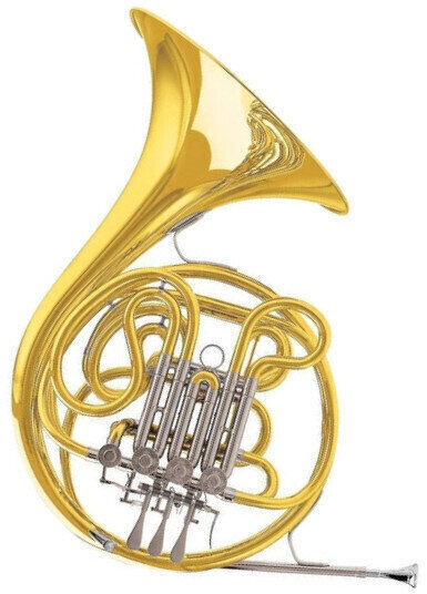 French Horn C.G. Conn 10D French Horn
