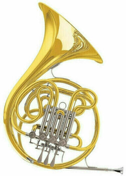 French Horn C.G. Conn 10D French Horn - 1