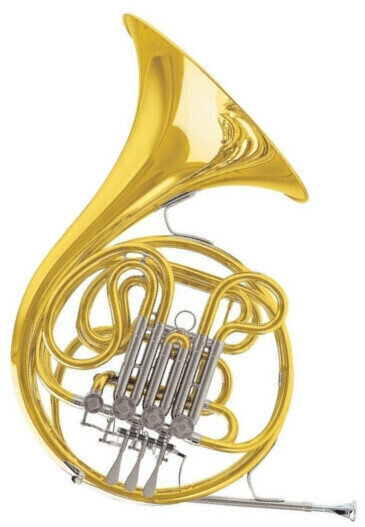 French Horn C.G. Conn 11D French Horn