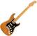 Elektrische gitaar Fender American Professional II Stratocaster MN Roasted Pine