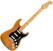 Elektrisk guitar Fender American Professional II Stratocaster MN HSS Roasted Pine