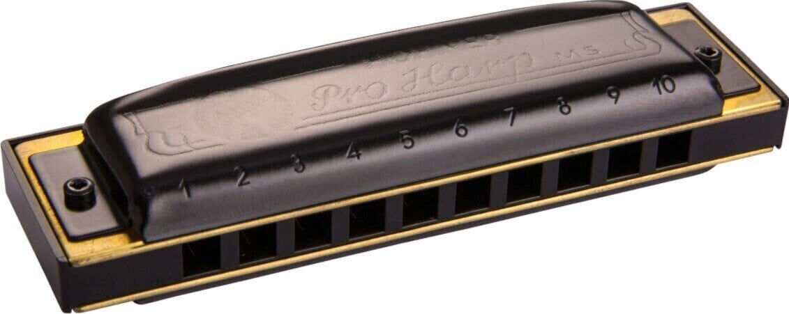 Diatonic harmonica Hohner Pro Harp MS G