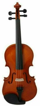 Akoestische viool Pasadena SGV 015 4/4 - 1