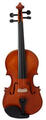Pasadena SGV 015 4/4 Violin (Damaged)