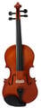 Pasadena SGV 015 1/2 Akustische Violine (Neuwertig)