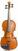 Akustische Violine Stentor Student Standard 3/4