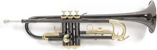 Bb Trompette Roy Benson TR-101K Bb Trompette