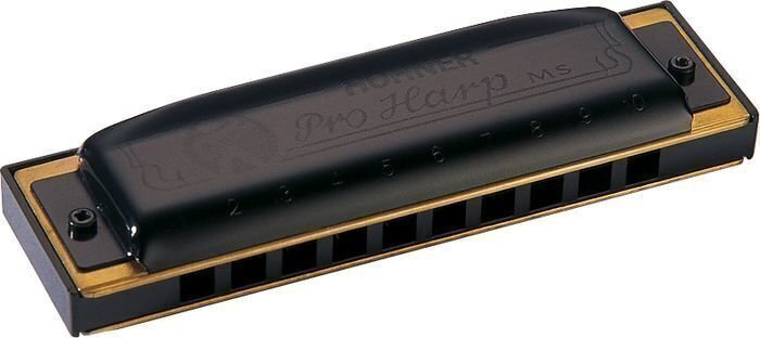 Diatonic harmonica Hohner Pro Harp MS D