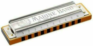 Hohner Marine Band 364/24 D Діатонічна гармоніка (Як новий)