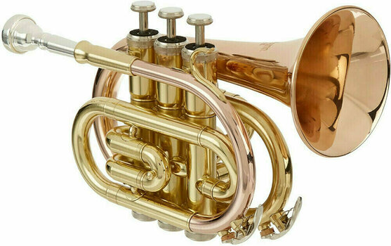 Bb Trompette Roy Benson PT-101G Bb Trompette - 1