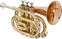 Bb Trompette Roy Benson PT-101G Bb Trompette