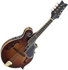 Mandoliini Ortega RMFE100AVO Antique Violin Oil Mandoliini