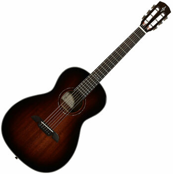 Akoestische gitaar Alvarez AP66SHB - 1