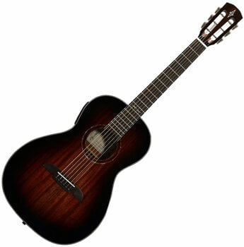 Electro-acoustic guitar Alvarez AP66ESHB - 1