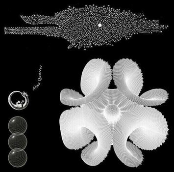 Disque vinyle Alma Quartet - Henri Dutilleux Philip Glass (LP) - 1