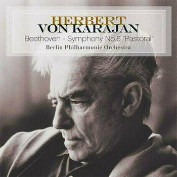 Schallplatte Ludwig van Beethoven - Symphony No. 6 Pastoral (LP) - 1