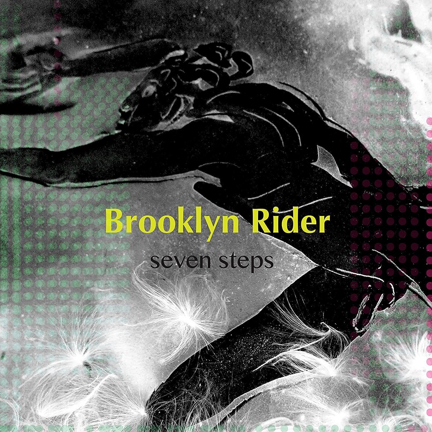 Δίσκος LP Brooklyn Rider - Seven Steps (2 LP)