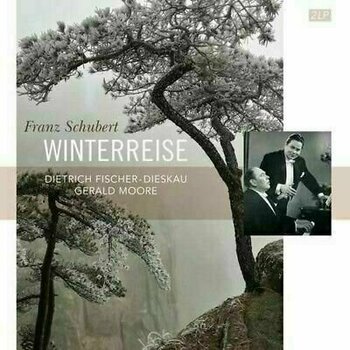 Vinyl Record Franz Schubert - Winterreise (2 LP) - 1