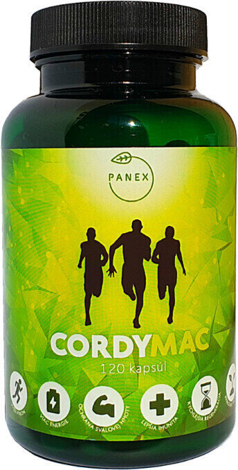 Vitamin B Panex Cordymc 120 caps Brez okusa 120 g Cordymac 120cps Vitamin B