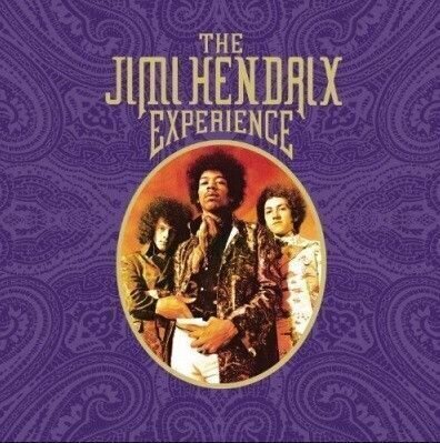 Vinylskiva Jimi Hendrix - Jimi Hendrix Experience (Box Set) (8 LP)