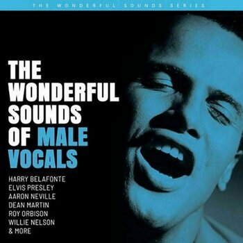 Δίσκος LP Various Artists - The Wonderful Sounds Of Male Vocals (200g) (45 RPM) - 1