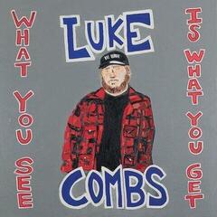Płyta winylowa Luke Combs - What You See Is What You Get (2 LP)
